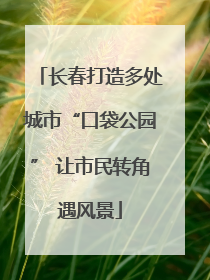 长春打造多处城市“口袋公园” 让市民转角遇风景