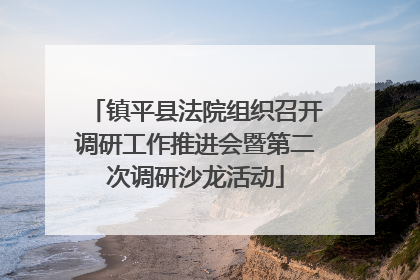 镇平县法院组织召开调研工作推进会暨第二次调研沙龙活动