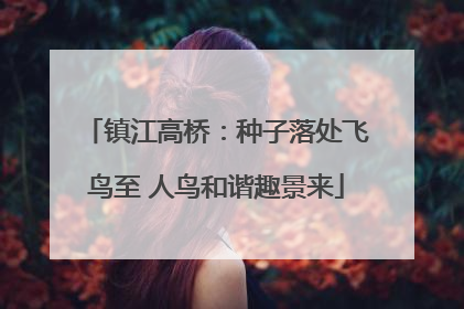 镇江高桥：种子落处飞鸟至 人鸟和谐趣景来