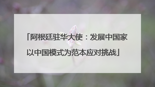 阿根廷驻华大使：发展中国家以中国模式为范本应对挑战