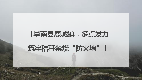 阜南县鹿城镇：多点发力 筑牢秸秆禁烧“防火墙”