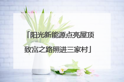 阳光新能源点亮屋顶 致富之路照进三家村