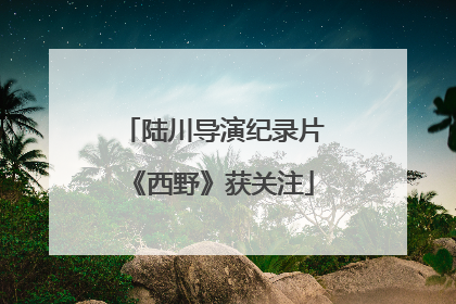陆川导演纪录片《西野》获关注