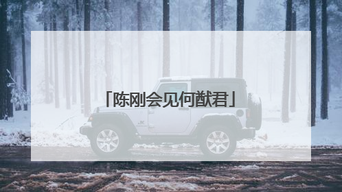 陈刚会见何猷君