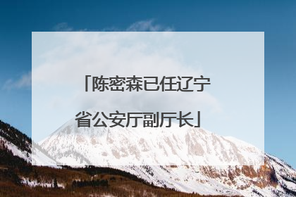 陈密森已任辽宁省公安厅副厅长