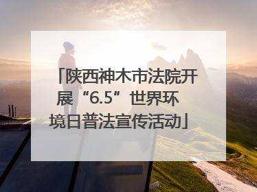 陕西神木市法院开展“6.5”世界环境日普法宣传活动