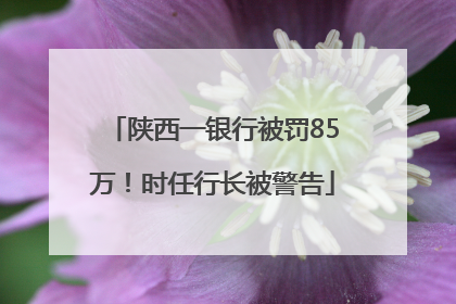 陕西一银行被罚85万！时任行长被警告