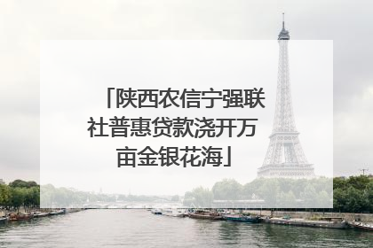 陕西农信宁强联社普惠贷款浇开万亩金银花海