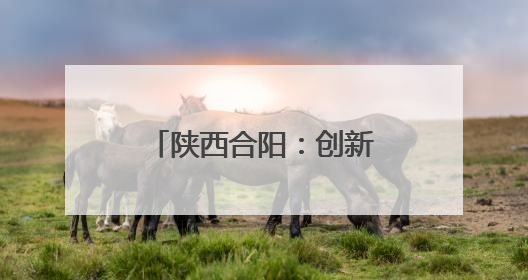 陕西合阳：创新村规民约让乡村治理焕发新的生机