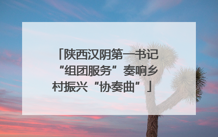 陕西汉阴第一书记“组团服务”奏响乡村振兴“协奏曲”