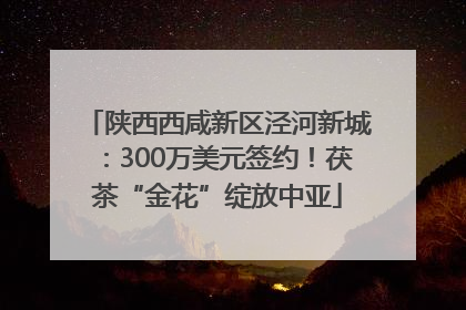 陕西西咸新区泾河新城：300万美元签约！茯茶“金花”绽放中亚