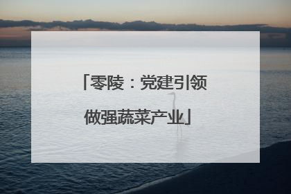 零陵：党建引领 做强蔬菜产业