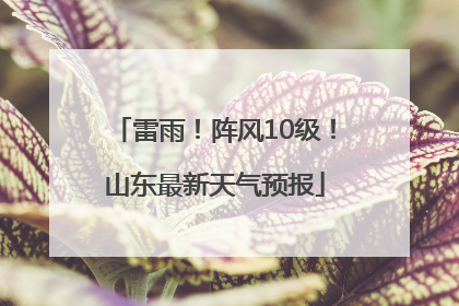 雷雨！阵风10级！山东最新天气预报