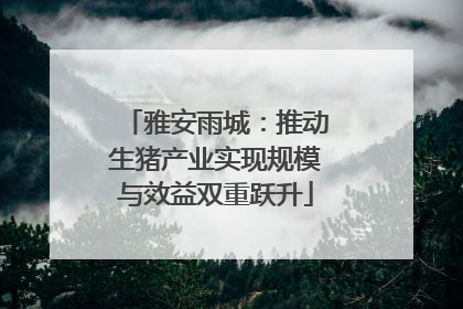 雅安雨城：推动生猪产业实现规模与效益双重跃升