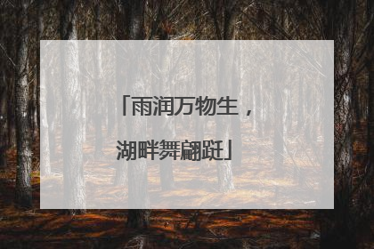 雨润万物生，湖畔舞翩跹