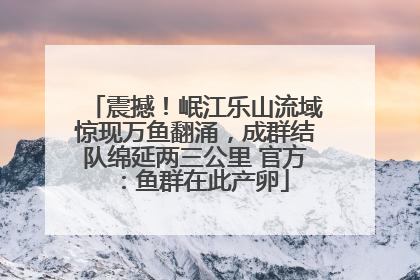 震撼！岷江乐山流域惊现万鱼翻涌，成群结队绵延两三公里 官方：鱼群在此产卵
