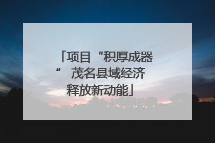 项目“积厚成器” 茂名县域经济释放新动能
