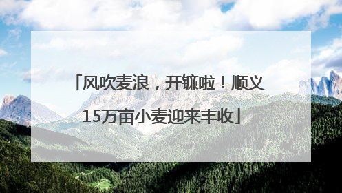 风吹麦浪，开镰啦！顺义15万亩小麦迎来丰收