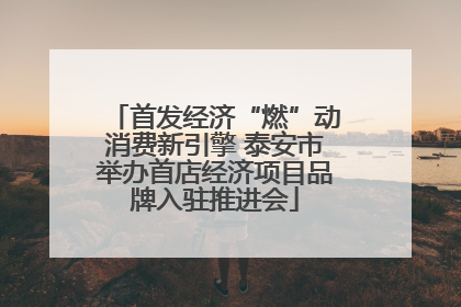 首发经济“燃”动消费新引擎 泰安市举办首店经济项目品牌入驻推进会