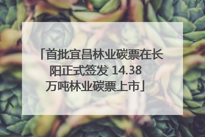 首批宜昌林业碳票在长阳正式签发 14.38万吨林业碳票上市