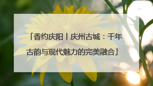 香约庆阳丨庆州古城：千年古韵与现代魅力的完美融合