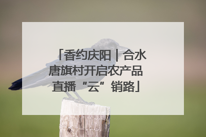 香约庆阳｜合水唐旗村开启农产品直播“云”销路