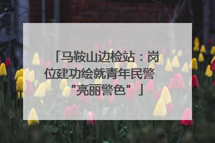 马鞍山边检站：岗位建功绘就青年民警“亮丽警色”