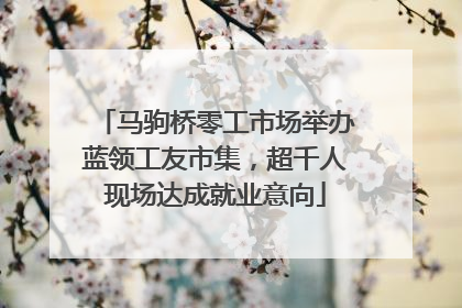 马驹桥零工市场举办蓝领工友市集，超千人现场达成就业意向