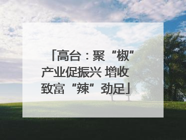高台：聚“椒”产业促振兴 增收致富“辣”劲足