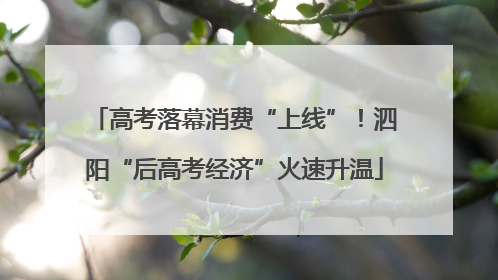 高考落幕消费“上线”！泗阳“后高考经济”火速升温