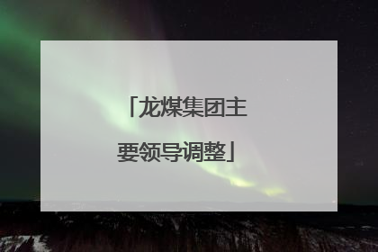 龙煤集团主要领导调整