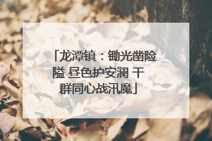 龙潭镇：锄光凿险隘 昼色护安澜 干群同心战汛魔