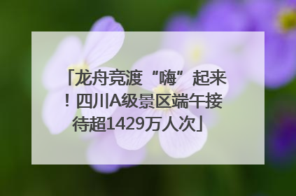 龙舟竞渡“嗨”起来！四川A级景区端午接待超1429万人次