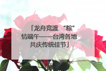 龙舟竞渡 “粽”情端午——台湾各地共庆传统佳节