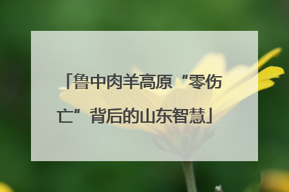 鲁中肉羊高原“零伤亡”背后的山东智慧