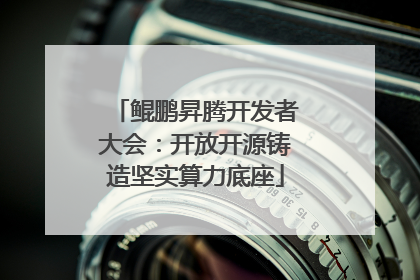 鲲鹏昇腾开发者大会：开放开源铸造坚实算力底座