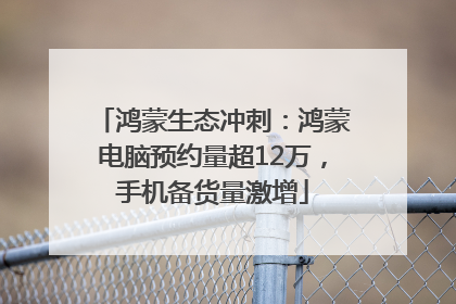 鸿蒙生态冲刺：鸿蒙电脑预约量超12万，手机备货量激增