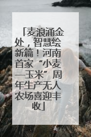 麦浪涌金处，智慧绘新篇！河南首家“小麦—玉米”周年生产无人农场喜迎丰收