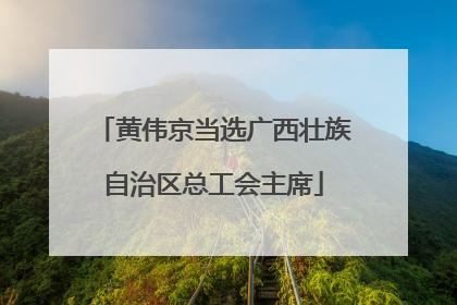 黄伟京当选广西壮族自治区总工会主席