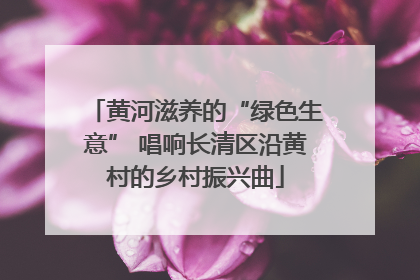 黄河滋养的“绿色生意” 唱响长清区沿黄村的乡村振兴曲