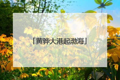 黄骅大港起渤海