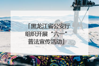 黑龙江省公安厅组织开展“六一”普法宣传活动