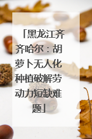 黑龙江齐齐哈尔：胡萝卜无人化种植破解劳动力短缺难题