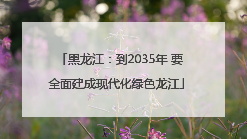 黑龙江：到2035年 要全面建成现代化绿色龙江
