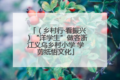 （乡村行·看振兴）“洋学生”做客浙江义乌乡村小学 学剪纸悟文化