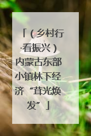 （乡村行·看振兴）内蒙古东部小镇林下经济“茸光焕发”