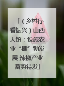 （乡村行·看振兴）山西天镇：设施农业“棚”勃发展 辣椒产业蓄势待发