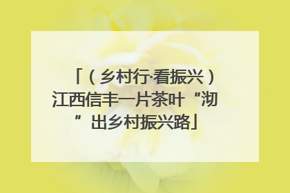 （乡村行·看振兴）江西信丰一片茶叶“沏”出乡村振兴路