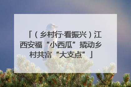 （乡村行·看振兴）江西安福“小西瓜”撬动乡村共富“大支点”