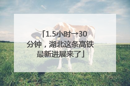 1.5小时→30分钟，湖北这条高铁最新进展来了